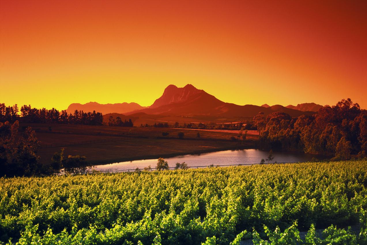 Paysages Afrique du Sud 