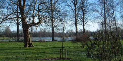 Parc à Oxford