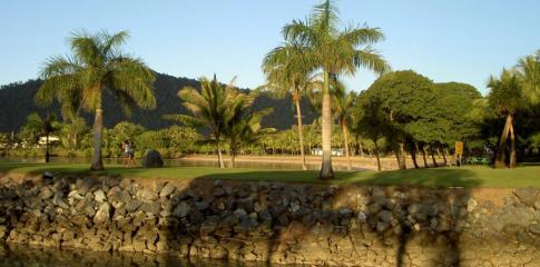 Nature à Airlie Beach
