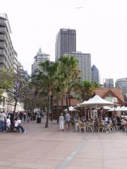 Terrasses agréables dans le quartier de l'opéra
