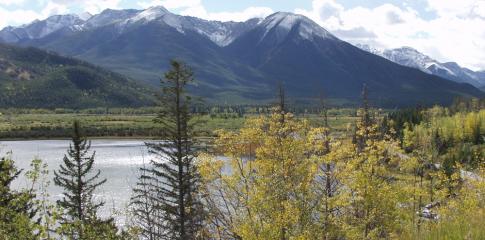 Montagnes et parcs aux environs de la ville