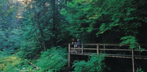 Randonnée en forêt aux alentours de Vancouver
