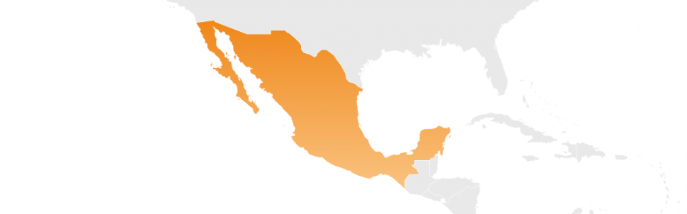 séjour linguistique au Mexique, Amérique latine.