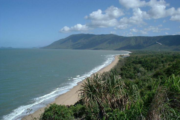 La rencontre de la forêt vierge et de la mer