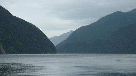 Doubtful Sound