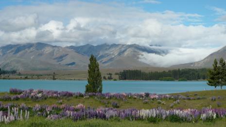Kac Tekapo