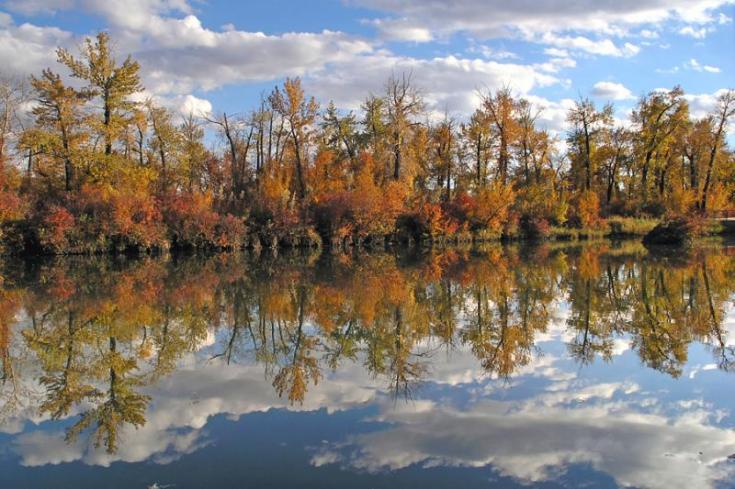 Paysage d'automne