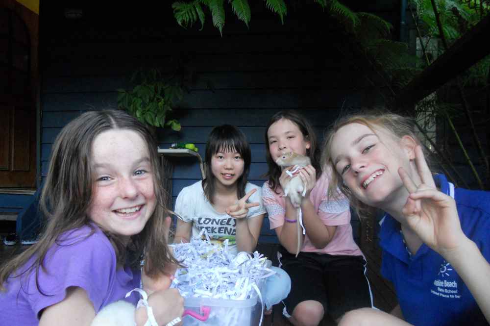 AILS Séjours juniors - Hébergements