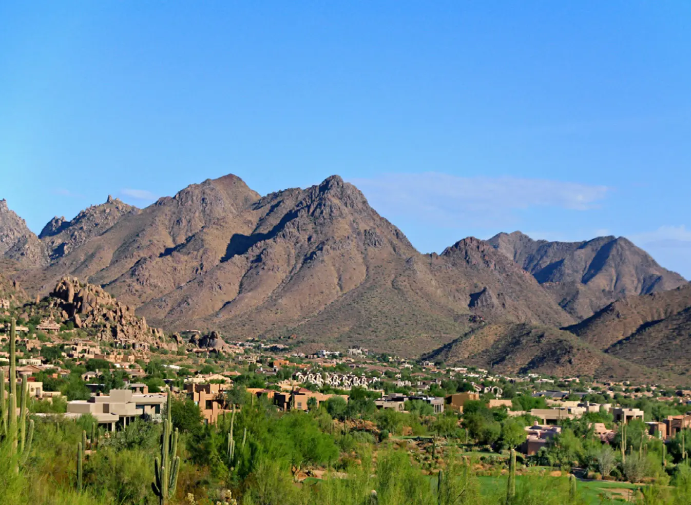 Paysage de l'Arizona : montagnes et cactus au soleil