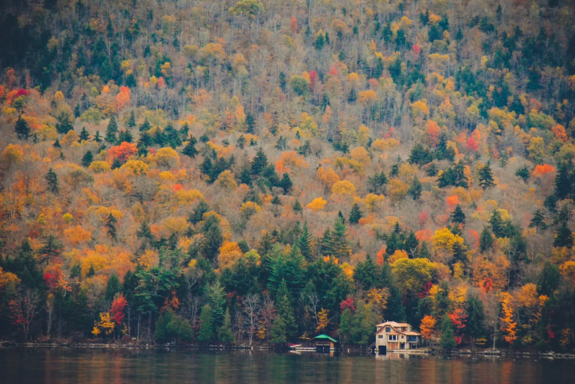 Lac et forêt aux couleurs d’automne, Adirondacks, État de New York