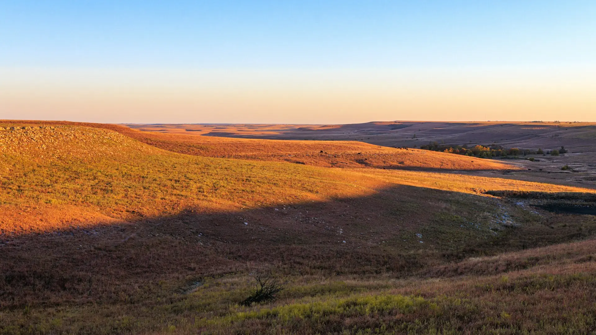Collines de prairie à la lumière dorée du soir près de Winfield, Kansas
