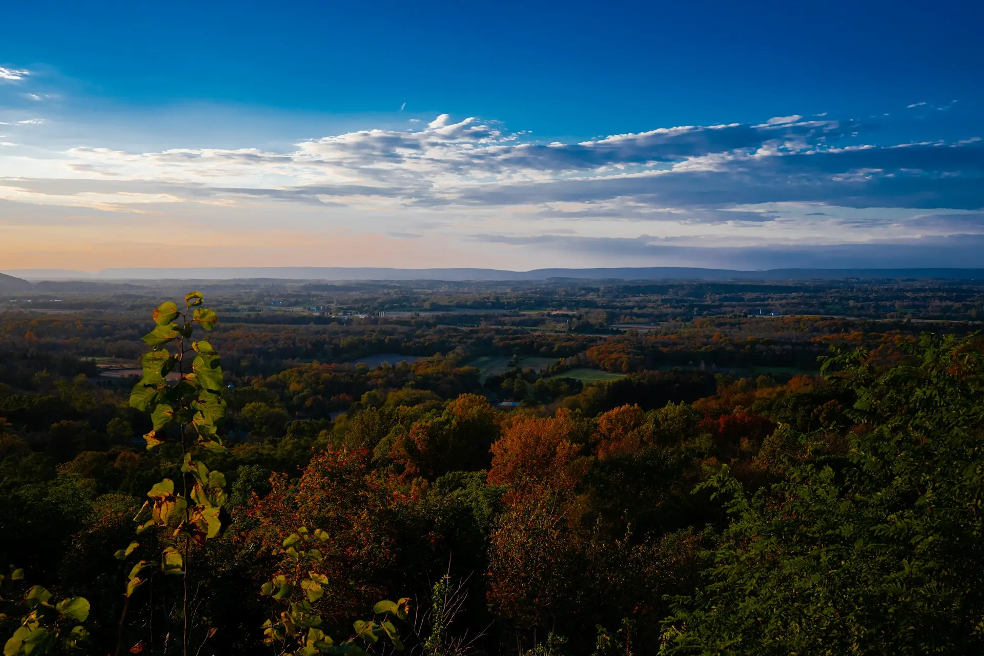 Vallée boisée de Pennsylvanie