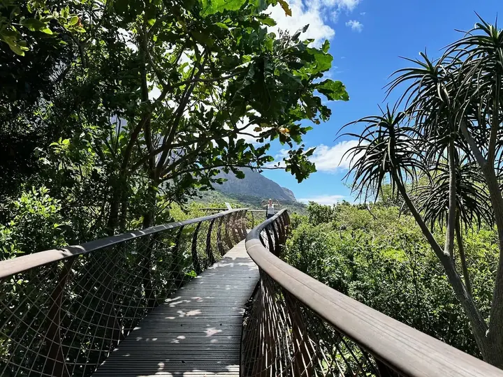Alentours de Cape Town