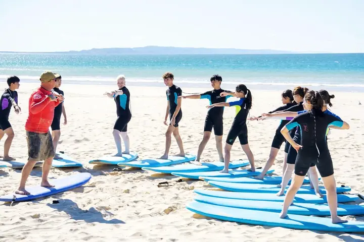 Surf