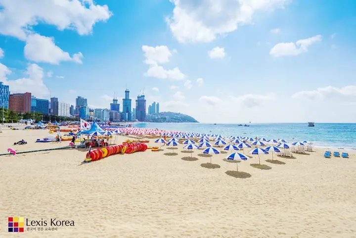 Busan plage