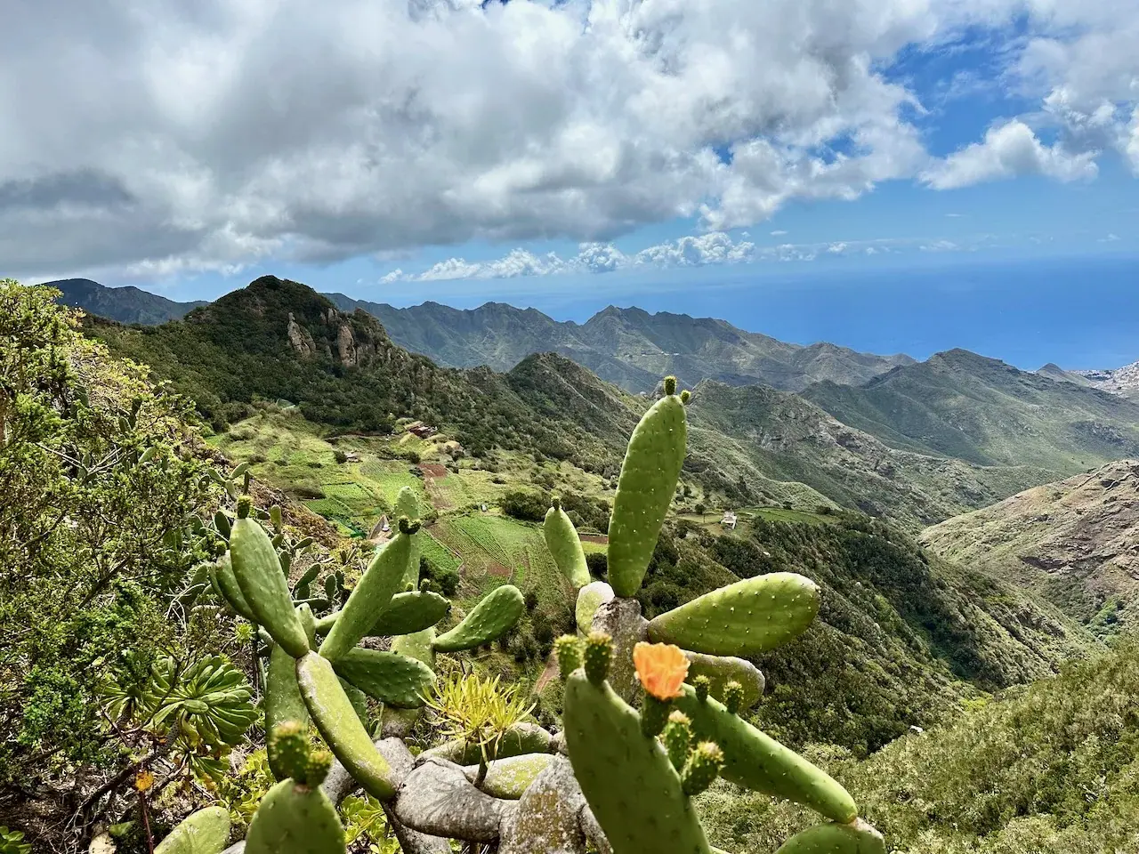 Tenerife