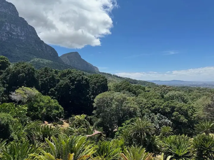 Alentours de Cape Town
