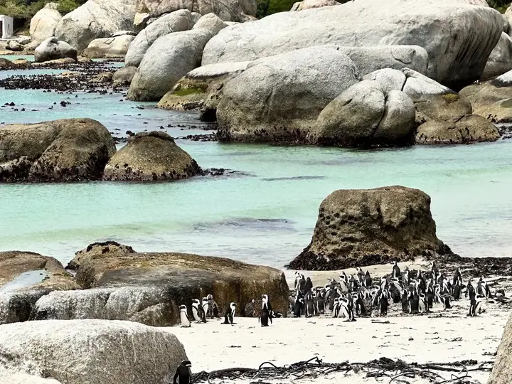 Alentours de Cape Town