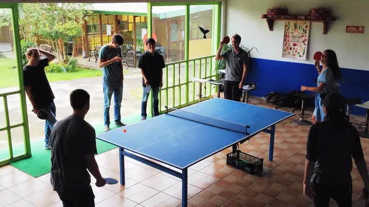 Ping pong