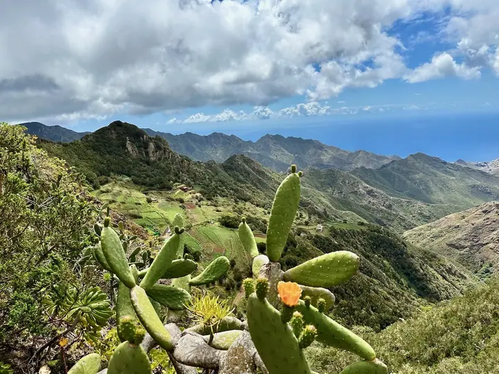 Tenerife