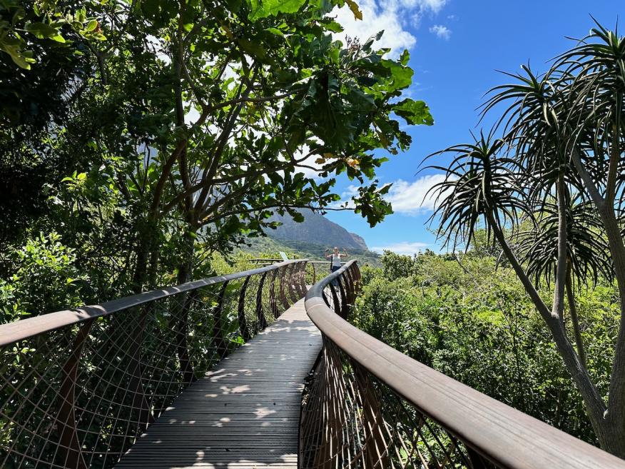 Jardin botanique national Kirstenbosch