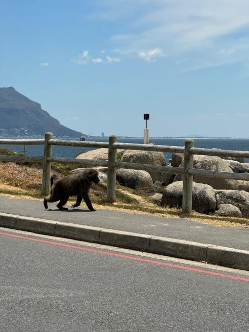 Simon's Town