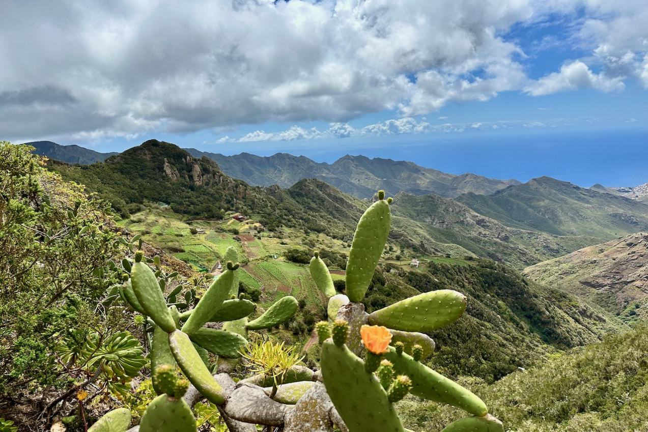 Tenerife